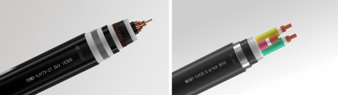 1735890484855006slgo.jpg bb1a71b92a65b76c14f74d1149ffdc9(1).jpg