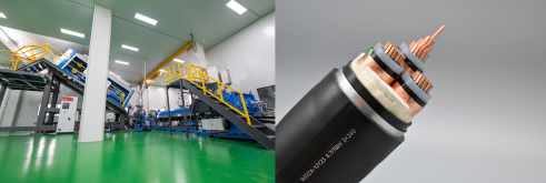 1772155940669454UH6q.png WPSƴͼ0(1).png