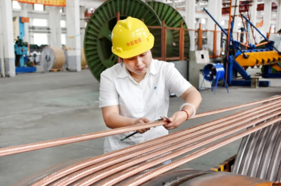 1670736259968795P5dD.jpg 1670736217545.jpg