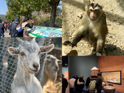 1711955035954305dVpZ.jpg 6e5a74716ff8bc104dd47215ad2e7e0(1).jpg