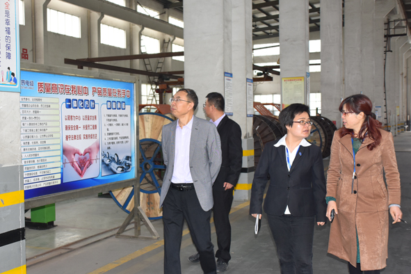 非凡国际(中国区)-官方网站